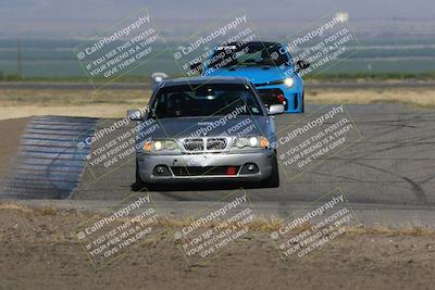 media/May-03-2024-PCA Central Coast (Fri) [[eaa7da0ee1]]/Yellow Group/Session 1 (Grapevine)/